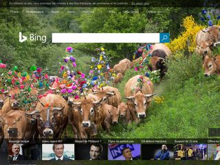 Скриншот сайта Bing.Com