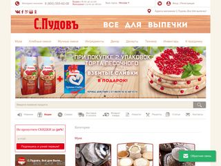 Скриншот сайта Pudov.Ru