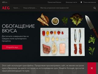 Скриншот сайта Aeg.Ru
