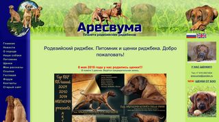 Скриншот сайта Aresvuma.Ru