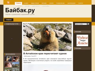 Скриншот сайта Bobak.Ru