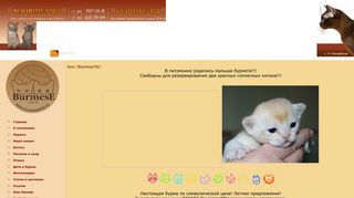 Скриншот сайта Bourimea.Ru