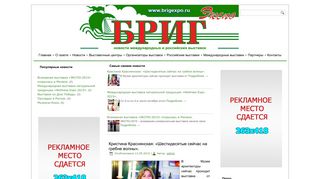 Скриншот сайта Brigexpo.Ru