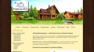 Скриншот сайта Buld.Ru
