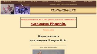 Скриншот сайта Cat4you.Ru
