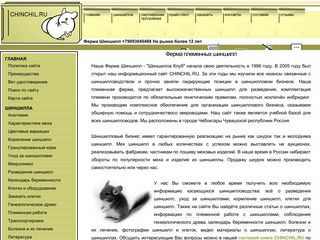 Скриншот сайта Chinchil.Ru