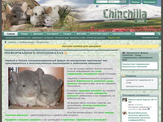 Скриншот сайта Chinclub.Ru