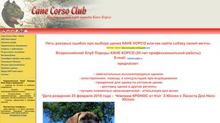 Скриншот сайта Corsoclub.Ru
