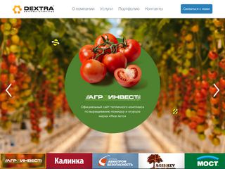 Скриншот сайта Dextra.Ru