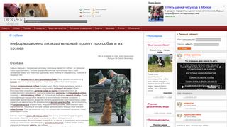 Скриншот сайта Dogi.Ru