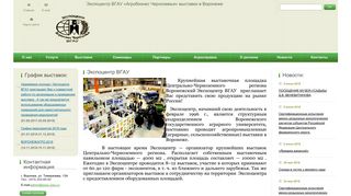 Скриншот сайта Expocentr.Vrn.Ru