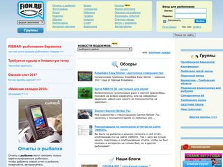 Скриншот сайта Fion.Ru