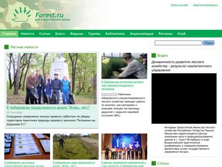 Скриншот сайта Forest.Ru