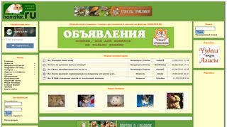 Скриншот сайта Hamster.Ru