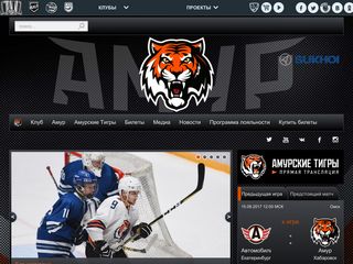 Скриншот сайта Hcamur.Ru