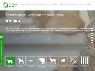Скриншот сайта Helvet.Ru
