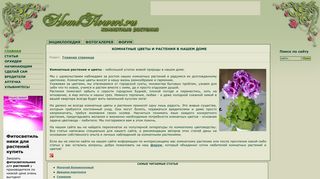 Скриншот сайта Homeflowers.Ru
