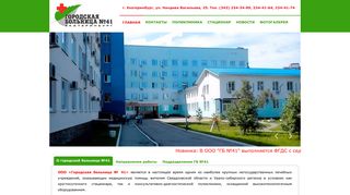Скриншот сайта Hospital41.Ru