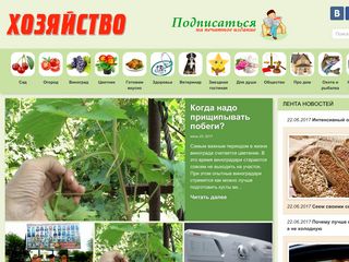 Скриншот сайта Hozvo.Ru