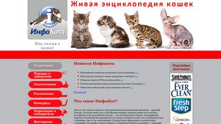 Скриншот сайта Infokot.Org