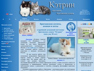 Скриншот сайта Katrins.Ru