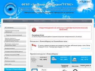 Скриншот сайта Meteo-nso.Ru