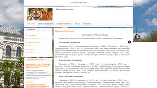Скриншот сайта Museumamur.Ru