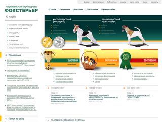 Скриншот сайта Nkp-fox.Ru