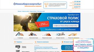 Скриншот сайта Nskes.Ru