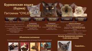 Скриншот сайта Okler.Ru