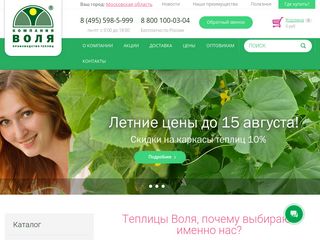 Скриншот сайта Perchina.Ru