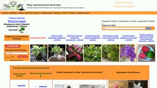 Скриншот сайта Pionerflowers.Com