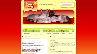 Скриншот сайта Rexy-cat.Ru