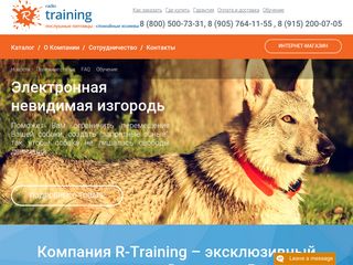 Скриншот сайта R-training.Ru