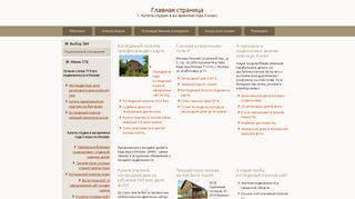 Скриншот сайта Salon-svetoch.Ru