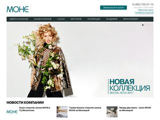 Скриншот сайта Salonmone.Ru