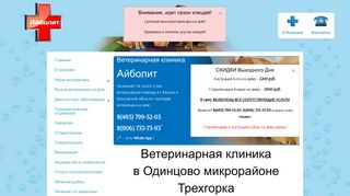 Скриншот сайта Scorvet.Ru