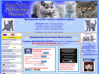 Скриншот сайта Snow.Alvas.Ru
