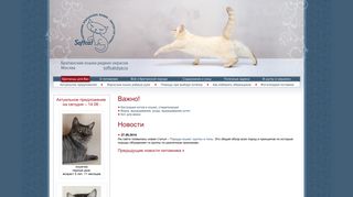 Скриншот сайта Softcat.Ru
