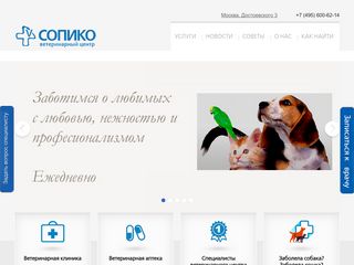 Скриншот сайта Sopico.Ru