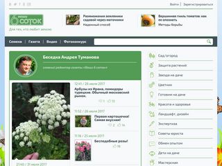 Скриншот сайта Sotki.Ru