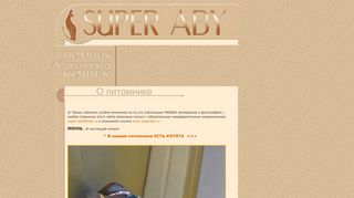 Скриншот сайта Superaby.Ru
