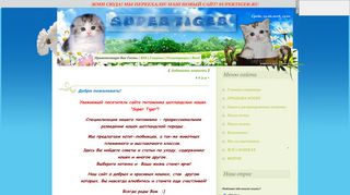 Скриншот сайта Supertiger.Com.Ua