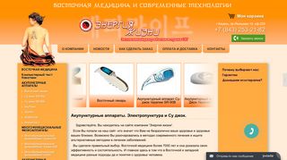 Скриншот сайта Theramax.Ru