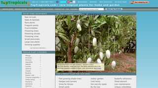 Скриншот сайта Toptropicals.Com