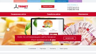 Скриншот сайта Trinet.Ru