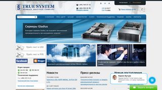 Скриншот сайта Truesystem.Ru