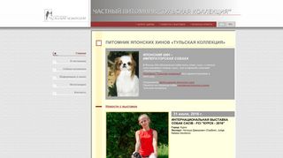 Скриншот сайта Tulachin.Ru
