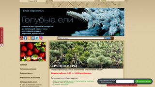Скриншот сайта Vedy.Ru