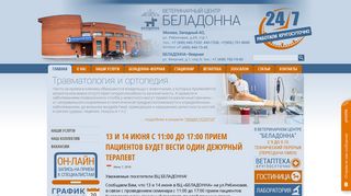 Скриншот сайта Vetdom.Ru